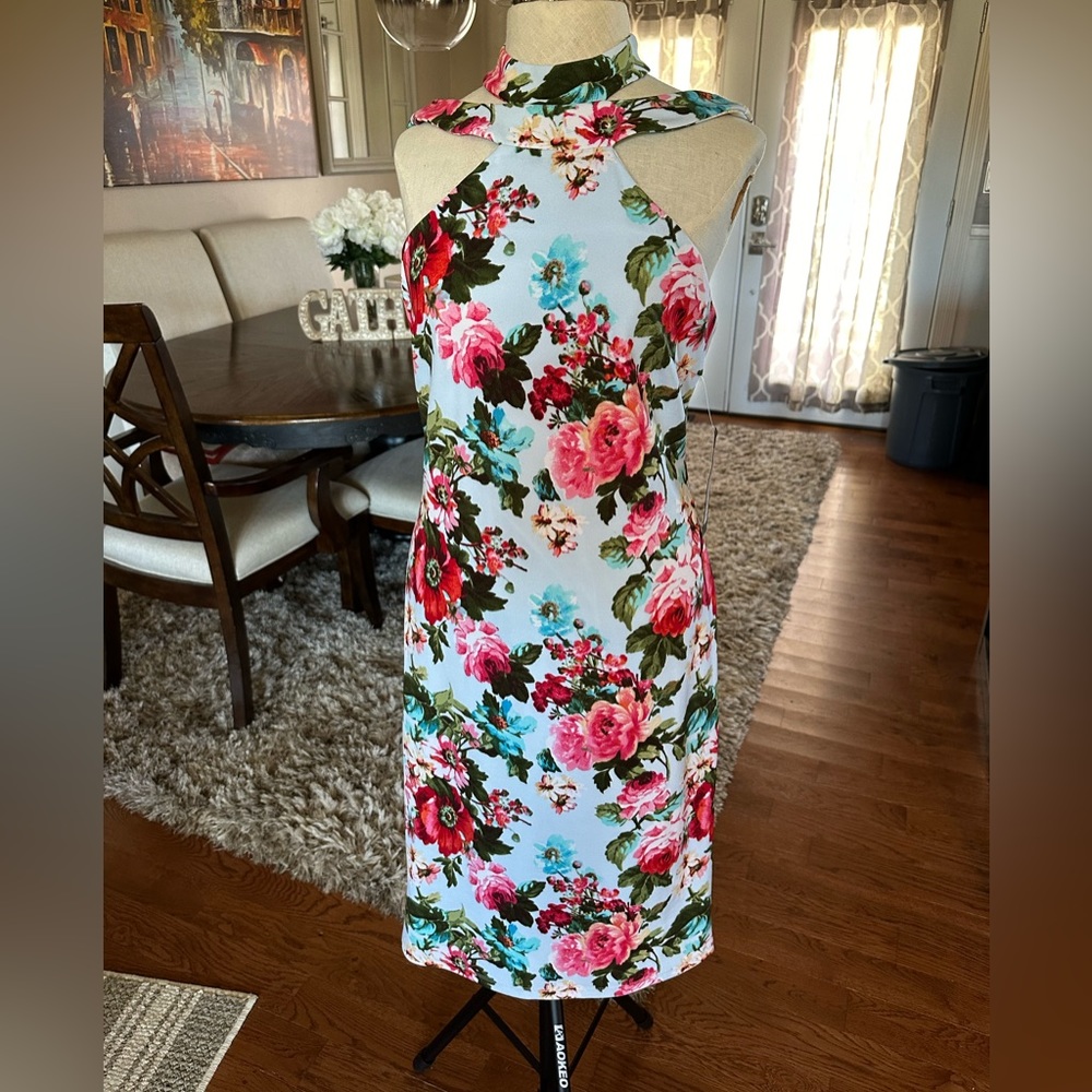 Bebe NWT dress size 10
